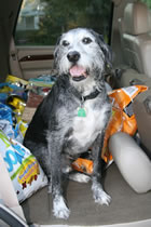 3rd Annual Ward Family Dawg Pound Party 10/1